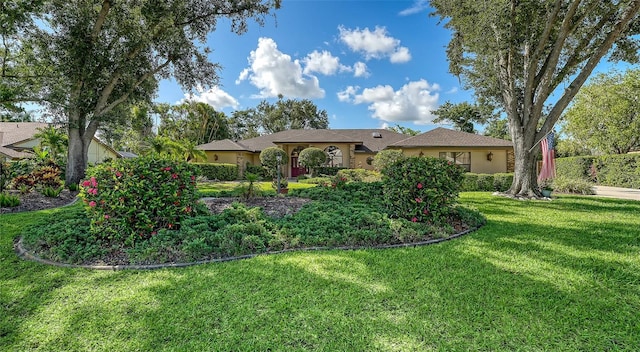 7426 Weeping Willow Blvd, Sarasota, FL 34241 - view of green lawn
