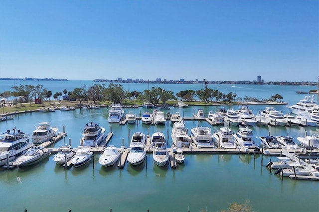 101 S Gulfstream Ave Unit 15C, Sarasota, FL 34236 - water view featuring a marina and a dock