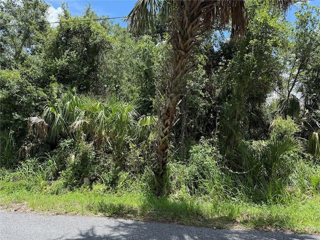 10206 28th Ave E, Palmetto, FL 34221