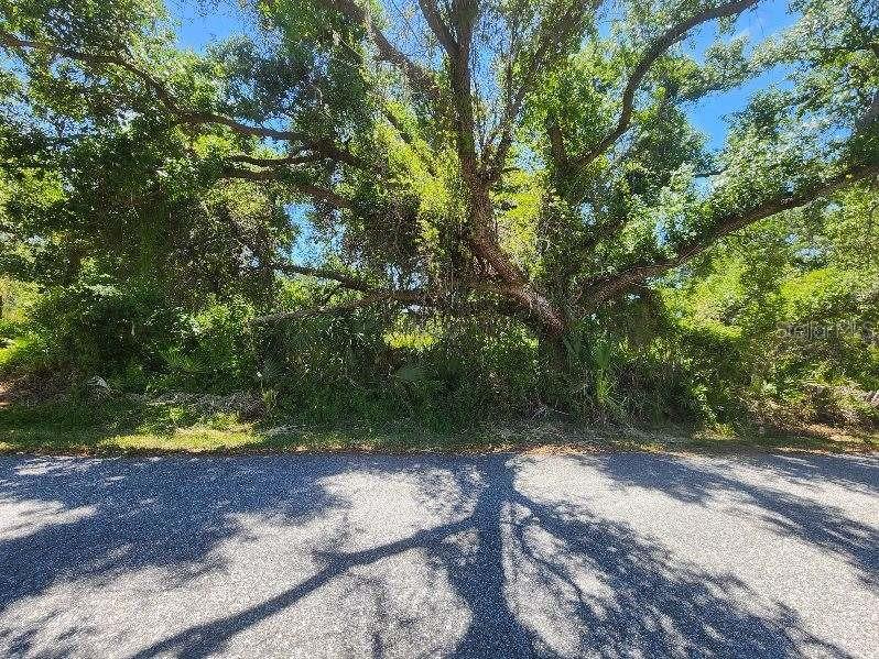 Sevilla St, North Port, FL 34287