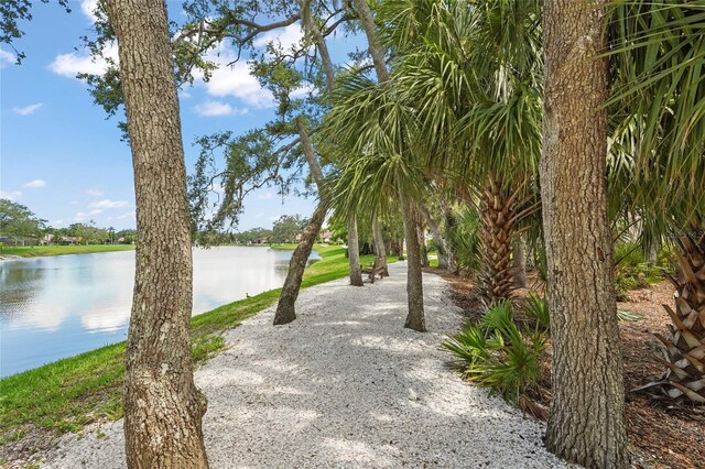 4333 Trails Dr Unit 10-1, Sarasota, FL 34232 - surrounding community featuring a water view
