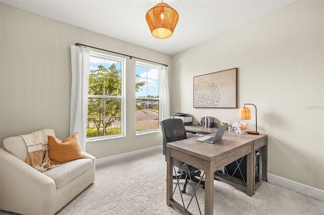3621 Wild Blossom Pl, Parrish, FL 34219 - home office with light carpet