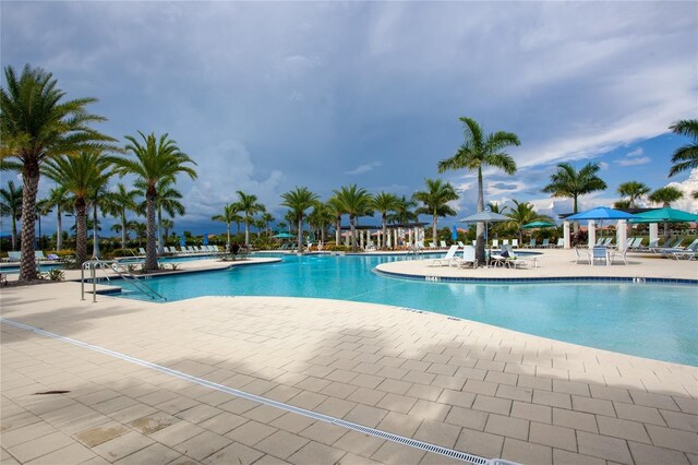10054 Crooked Creek Dr Unit 201, Venice, FL 34293 - community pool featuring a patio area