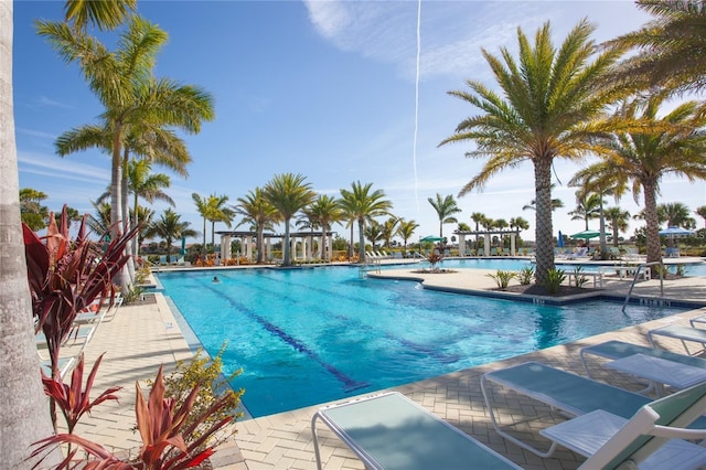 10054 Crooked Creek Dr Unit 201, Venice, FL 34293 - community pool featuring a patio