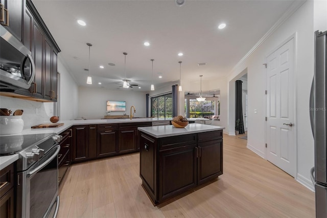 14901 17th Ave E, Bradenton, FL 34212 - kitchen with stainless steel appliances, recessed lighting, a ceiling fan, light wood-style flooring, and dark brown cabinets