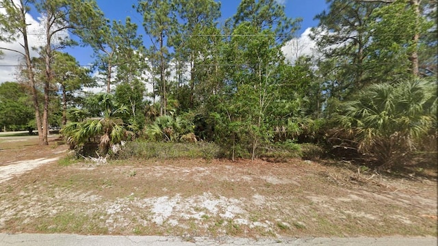 736 12th St SE, Naples, FL 34117