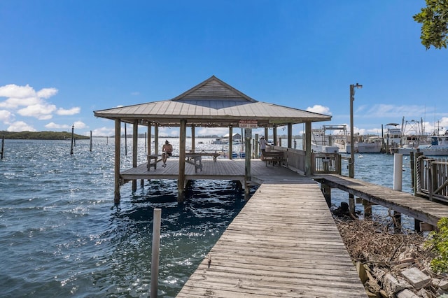 3715 101st St W, Bradenton, FL 34210 - dock with a water view and boat lift