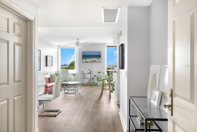 800 N Tamiami Trl Unit 405, Sarasota, FL 34236 - hallway with wood finished floors and baseboards