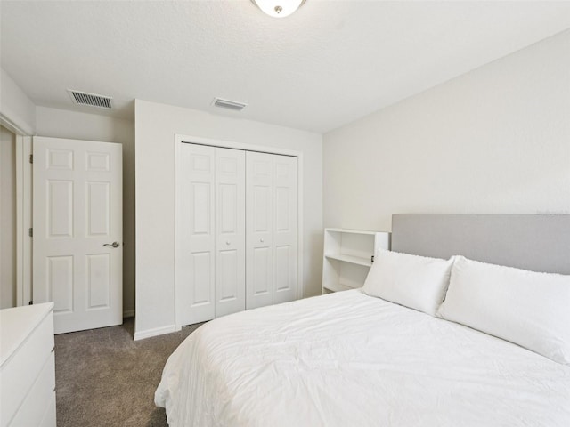 6528 166th Pl E, Parrish, FL 34219 - bedroom with dark colored carpet and a closet