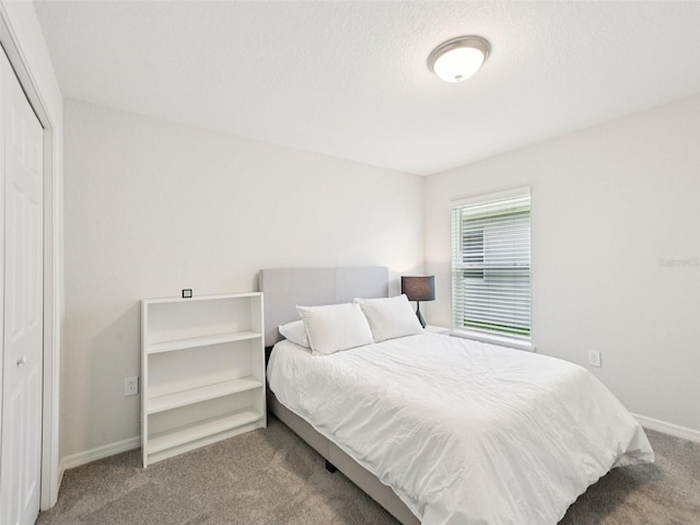 6528 166th Pl E, Parrish, FL 34219 - carpeted bedroom with a closet and baseboards