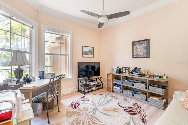 7521 Aralia Way, Seminole, FL 33777 - office featuring crown molding, wood finished floors, and ceiling fan
