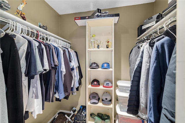 3658 Torrey Pines Way, Sarasota, FL 34238 - view of spacious closet