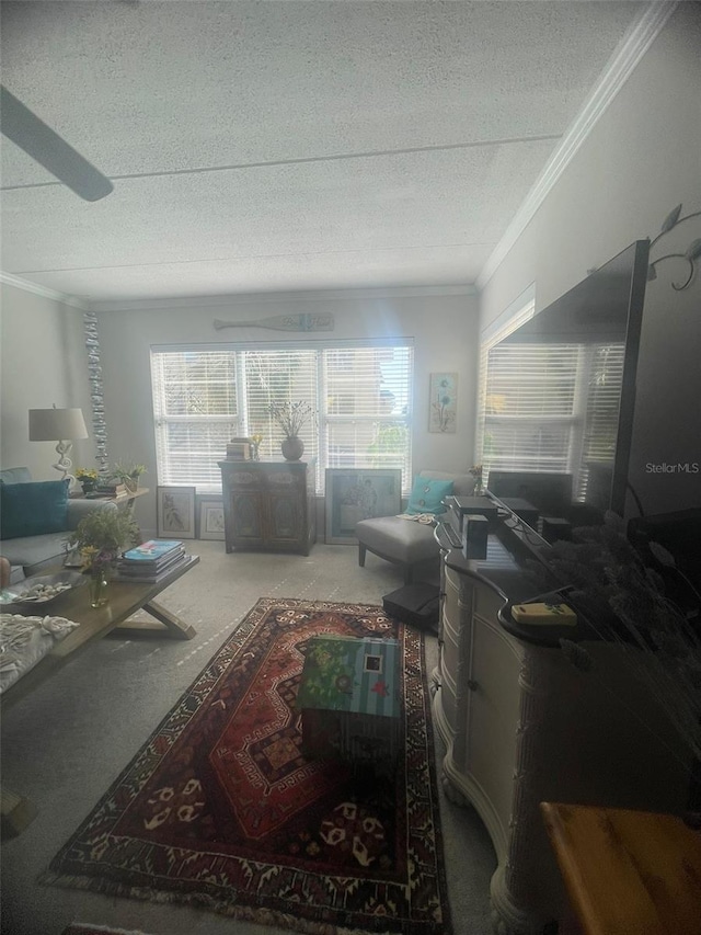 3806 Gulf Of Mexico Dr Unit C205, Longboat Key, FL 34228 - living area with a textured ceiling, carpet floors, ornamental molding, and healthy amount of natural light