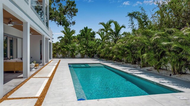 2124 Clematis Pl, Sarasota, FL 34239 - photo 46
