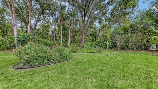 7604 Weeping Willow Cir, Sarasota, FL 34241 - photo 68