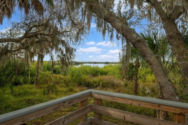 11508 30th Cv E, Parrish, FL 34219 - water view