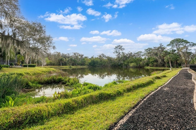 11508 30th Cv E, Parrish, FL 34219 - water view
