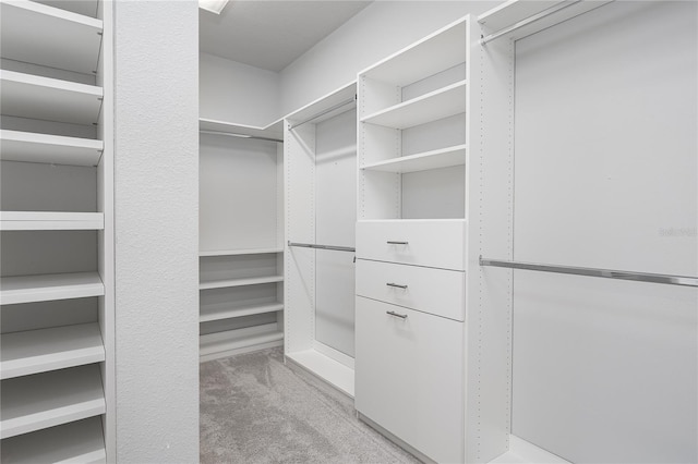 8706 Arrow Creek Dr, Parrish, FL 34219 - spacious closet featuring light carpet