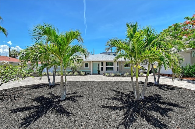 444 S Polk Dr, Sarasota, FL 34236 - view of front facade featuring stucco siding