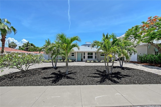 444 S Polk Dr, Sarasota, FL 34236 - view of property hidden behind natural elements