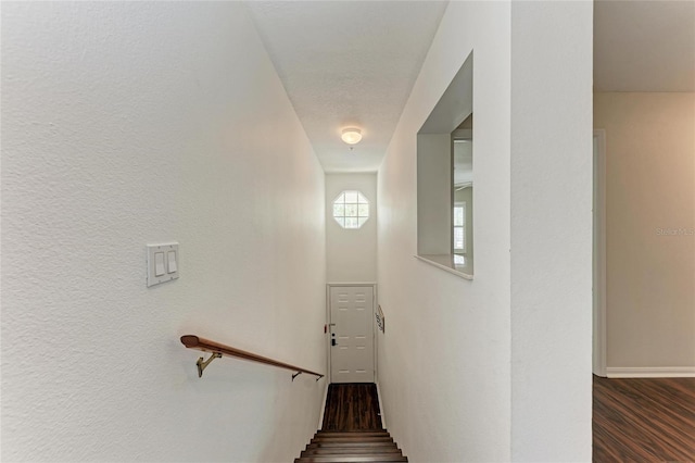 803 Montrose Dr Unit 201, Venice, FL 34293 - stairway featuring wood finished floors and baseboards