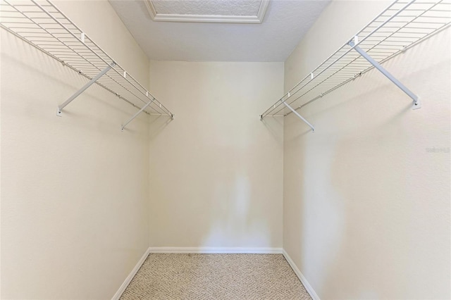 803 Montrose Dr Unit 201, Venice, FL 34293 - spacious closet featuring carpet