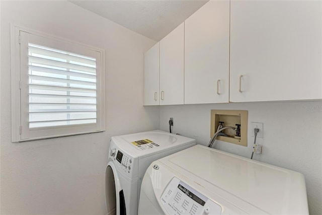 803 Montrose Dr Unit 201, Venice, FL 34293 - laundry area featuring cabinet space and washer and clothes dryer