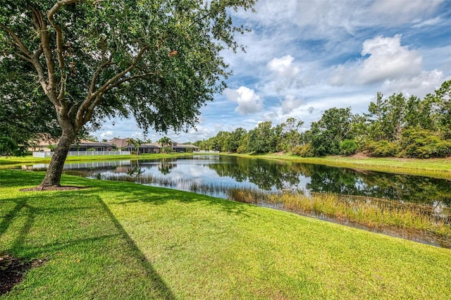 6610 Rosy Barb Ct, Lakewood Ranch, FL 34202 - water view