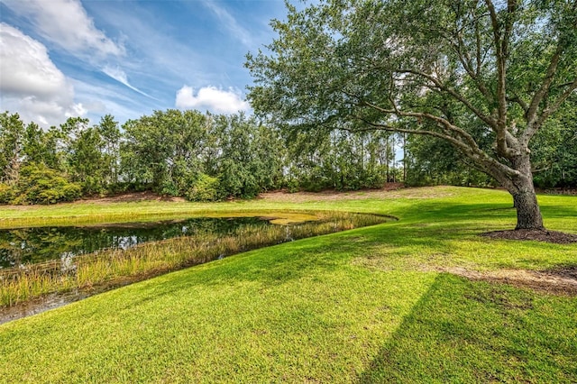 6610 Rosy Barb Ct, Lakewood Ranch, FL 34202 - view of green lawn featuring a water view