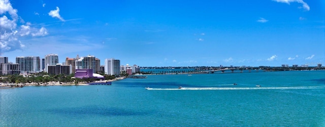 1076 Toc0Baga, Sarasota, FL 34234 - water view with skyline