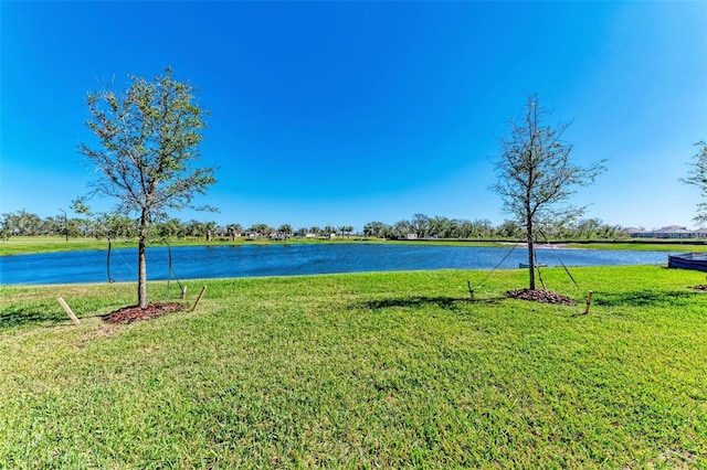 12827 Lily Quartz Loop, Parrish, FL 34219 - photo 30
