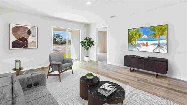 12039 Lansing Gln, Parrish, FL 34219 - living area with wood finished floors and a textured ceiling