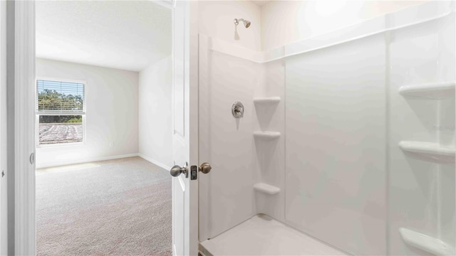 12039 Lansing Gln, Parrish, FL 34219 - full bath featuring a shower and baseboards