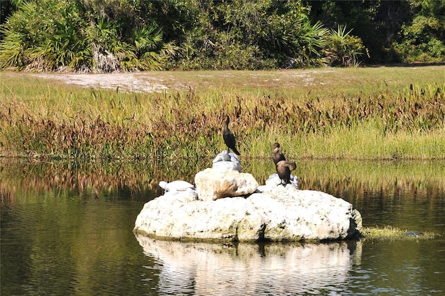 5080 Timber Chase Way, Sarasota, FL 34238 - water view