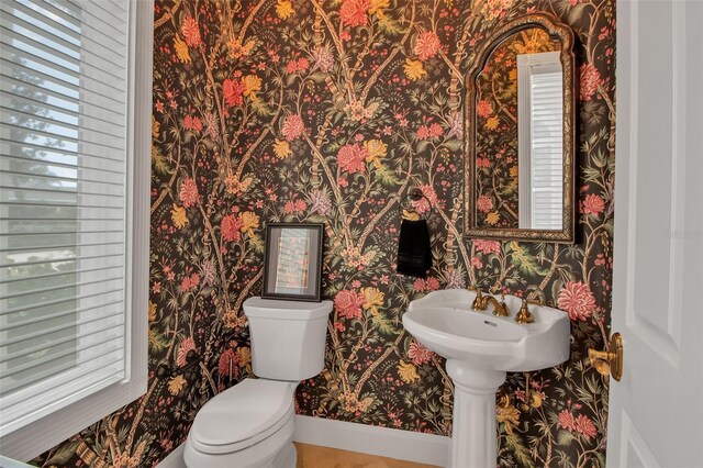 550 Dove Pointe, Osprey, FL 34229 - half bathroom featuring plenty of natural light
