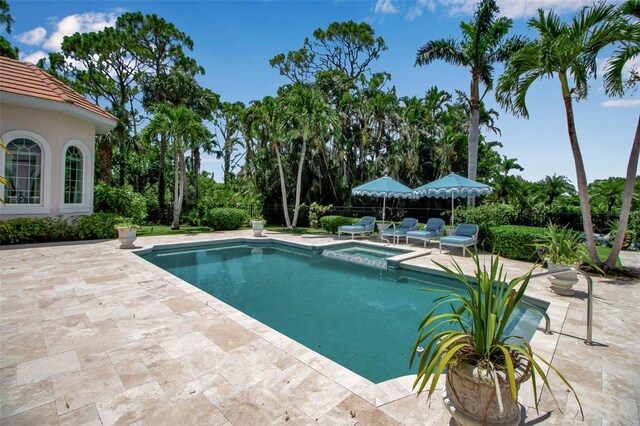 550 Dove Pointe, Osprey, FL 34229 - view of pool with a patio and a pool with connected hot tub