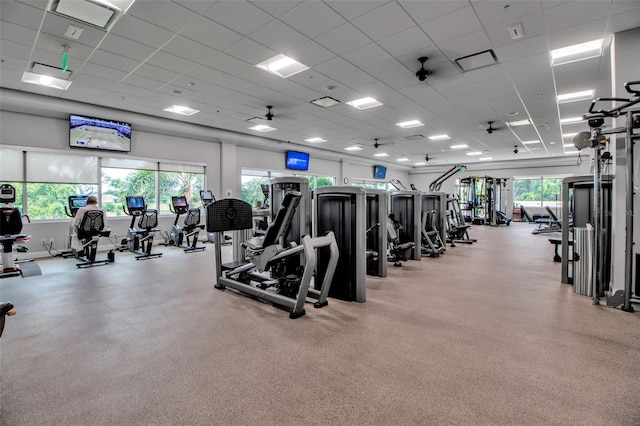 550 Dove Pointe, Osprey, FL 34229 - workout area with a drop ceiling