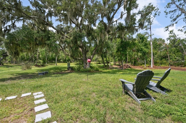 15780 Wilson Rd, Sarasota, FL 34240 - view of green lawn with view of wooded area