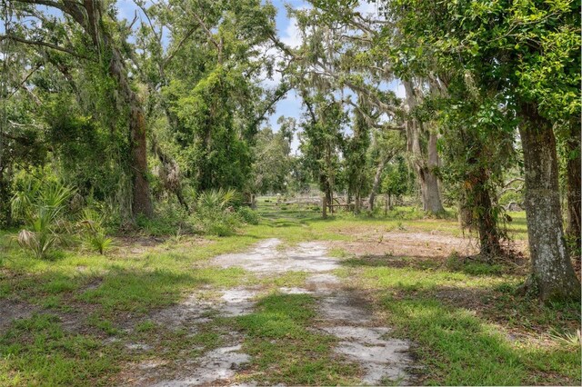 15780 Wilson Rd, Sarasota, FL 34240 - view of street