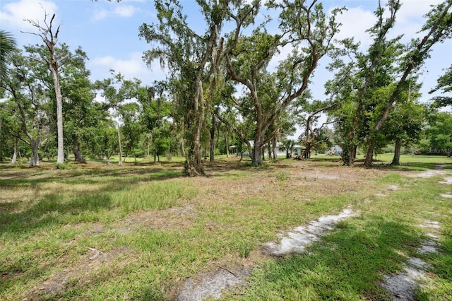 15780 Wilson Rd, Sarasota, FL 34240 - view of yard