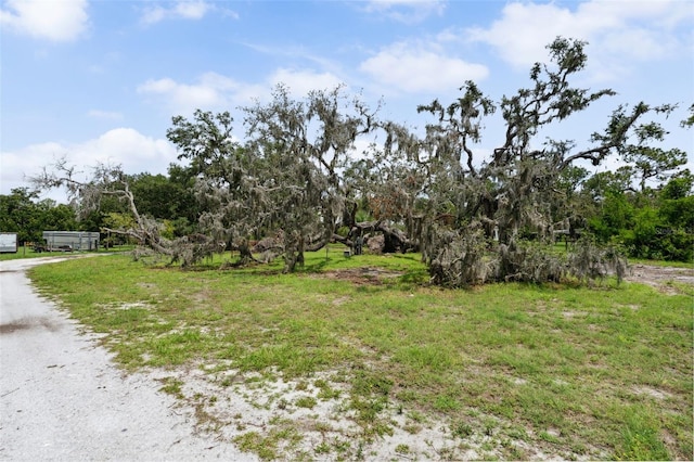 15780 Wilson Rd, Sarasota, FL 34240 - view of yard