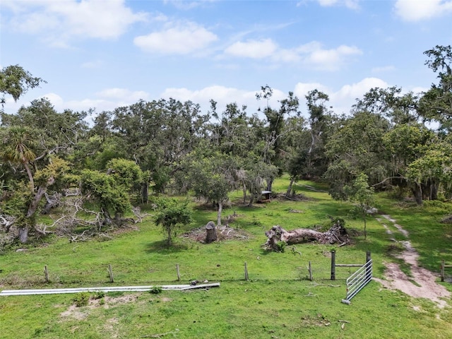 15780 Wilson Rd, Sarasota, FL 34240 - view of yard