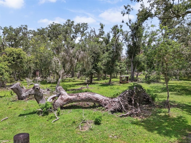 15780 Wilson Rd, Sarasota, FL 34240 - view of green lawn
