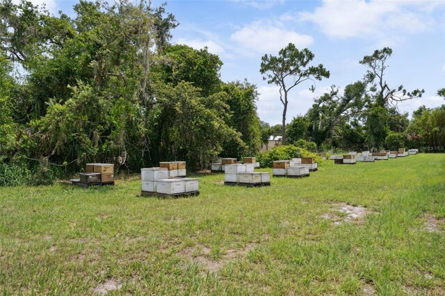 15780 Wilson Rd, Sarasota, FL 34240 - view of grassy yard