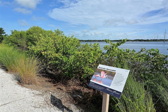 1030 Tidewater Shores Loop Unit 307, Bradenton, FL 34208 - water view