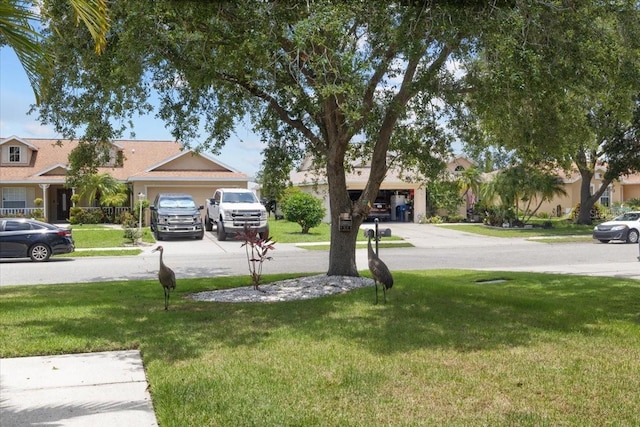 11839 Shrewsbury Ln, Parrish, FL 34219 - view of green lawn