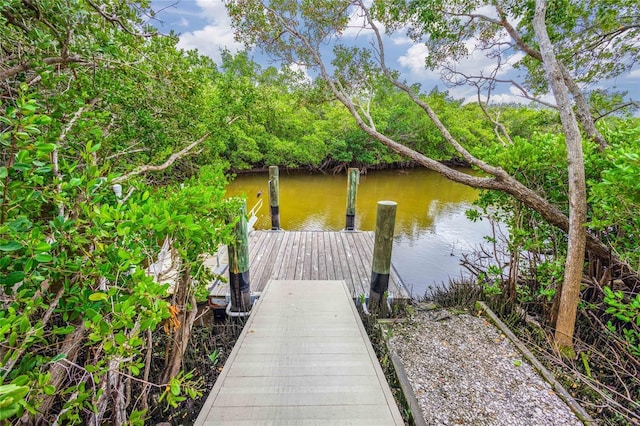 805 Waterside Ln, Bradenton, FL 34209 - dock with a water view