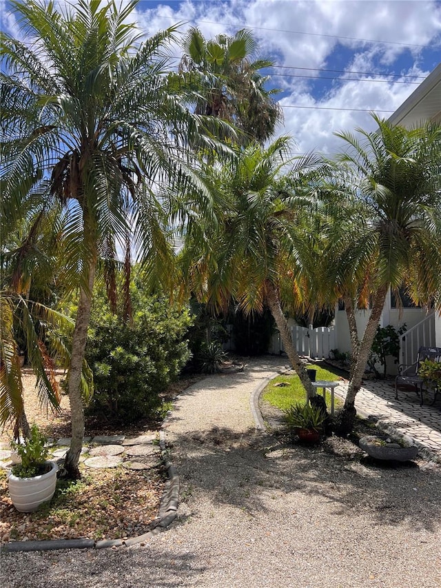 1801 Highland Rd, Osprey, FL 34229 - view of yard