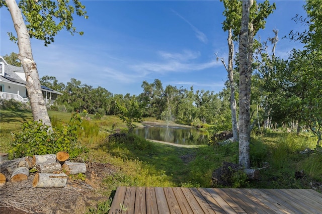 4888 Old Ranch Rd, Sarasota, FL 34241 - photo 54