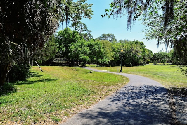 2590 Floyd St, Sarasota, FL 34239 - view of community featuring a yard and view of scattered trees